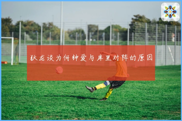 狄龙谈为何钟爱与库里对阵的原因