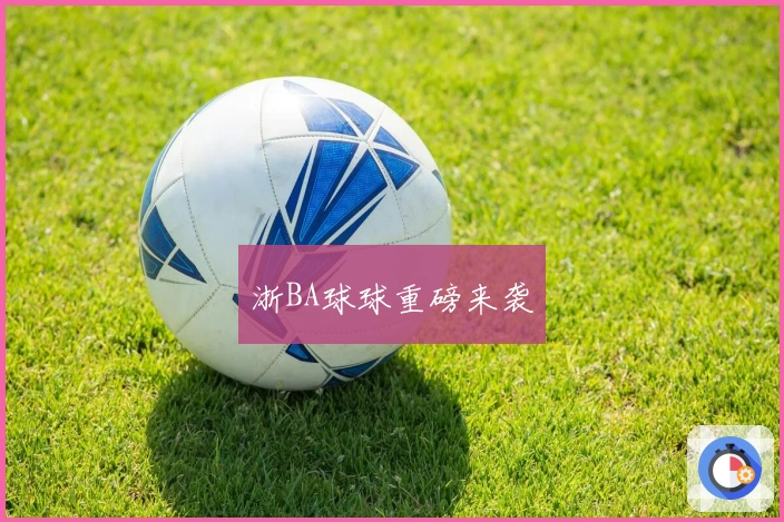 浙BA球球重磅来袭