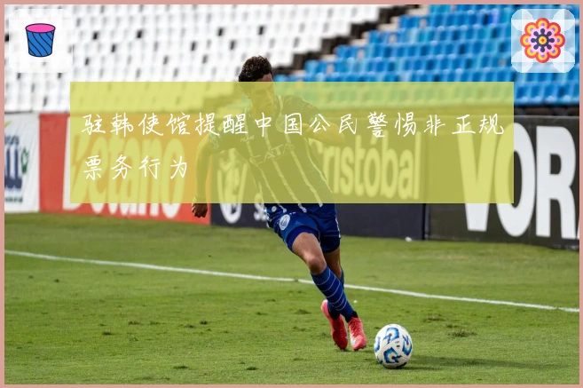 驻韩使馆提醒中国公民警惕非正规票务行为