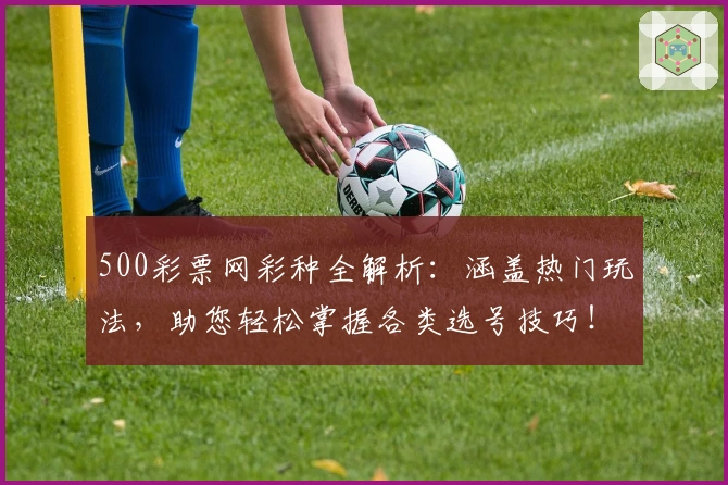 500彩票网彩种全解析:涵盖热门玩法,助您轻松掌握各类选号技巧!